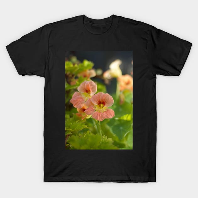 Nasturtium T-Shirt by MistyLakeArt